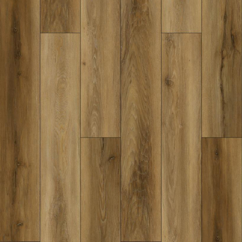 Pignut hickory